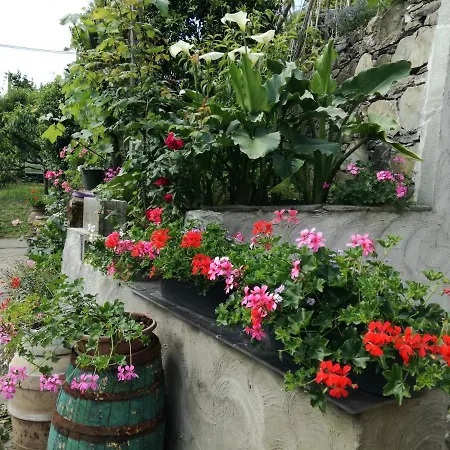 Ca' Da Rina Tatil Evi *