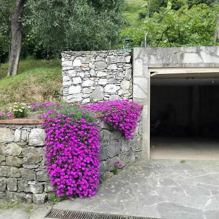Ca' Da Rina