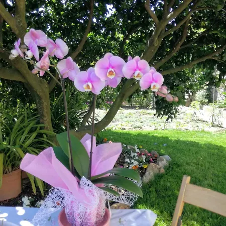 Ca' Da Rina * Sestri Levante