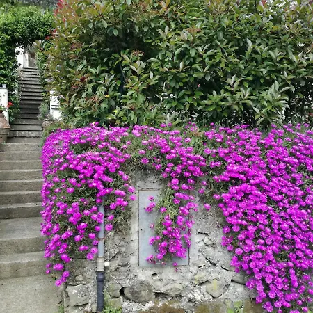 Ca' Da Rina Sestri Levante