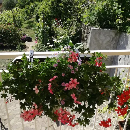Ca' Da Rina Casa vacanze