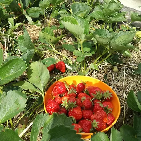 Ca' Da Rina Casa vacanze *