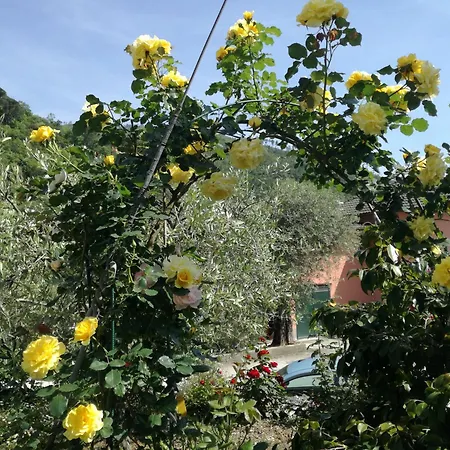 Ca' Da Rina Casa vacanze