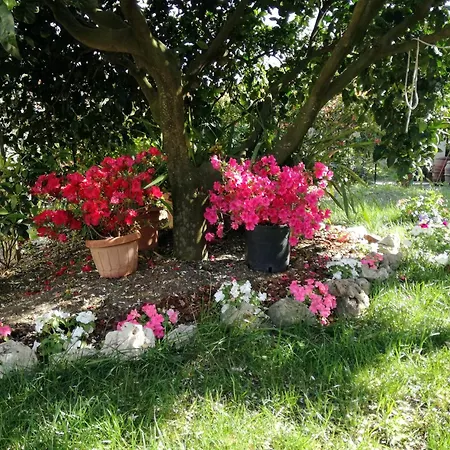 Ca' Da Rina Casa vacanze *