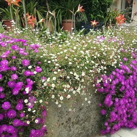Casa vacanze Ca' Da Rina *