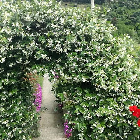 Ca' Da Rina Prázdninový dům Sestri Levante