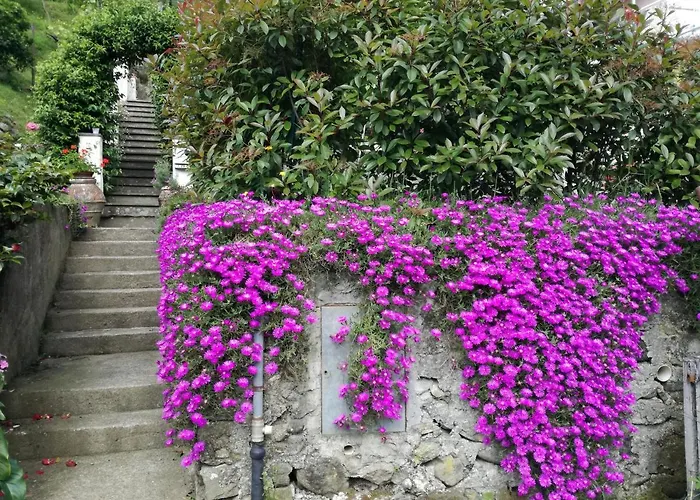 Ca' Da Rina Sestri Levante